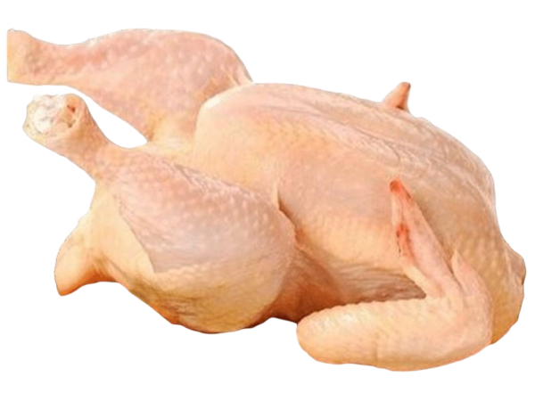 دجاج بلدي كامل طازج