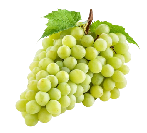 عنب اخضر وزن